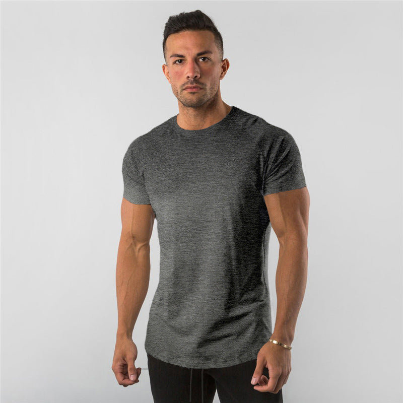 95%cotton 5% elastane custom private logo fitness gym wear sports apparel plain blank men T Shirt