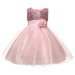 Summer Sleeveless Sequined and Flower Tulle Princess Kids Girls Dress