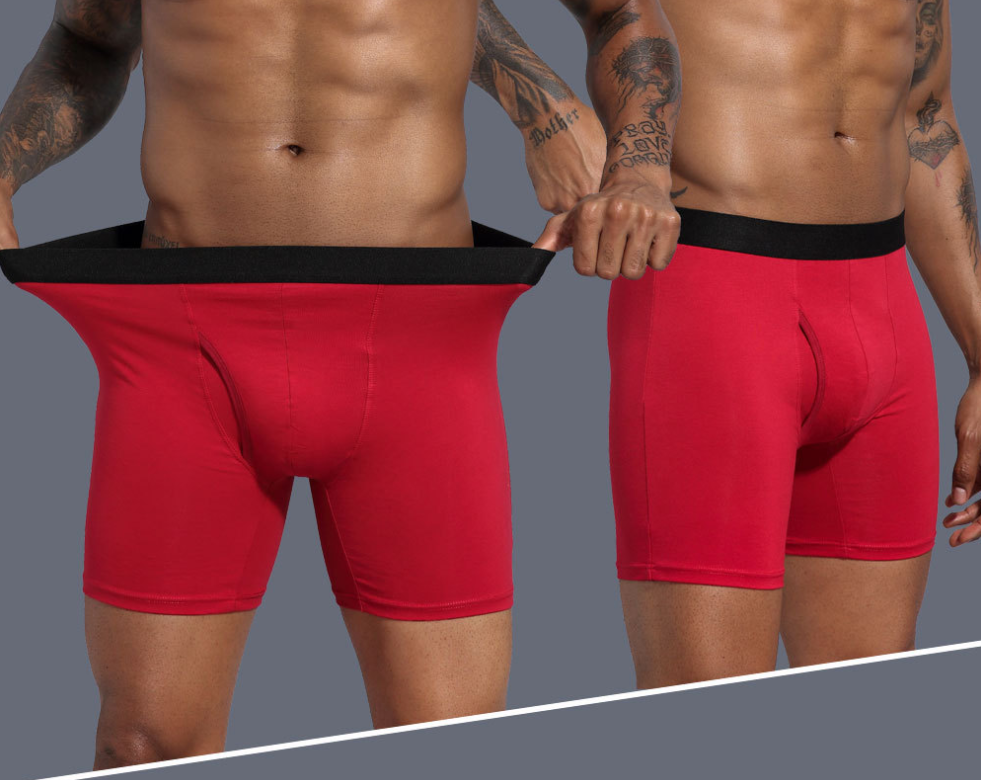 Men Panties Men's Long Leg Boxer Cotton Man Underwear Underpants Boxer Breathable Shorts European Size