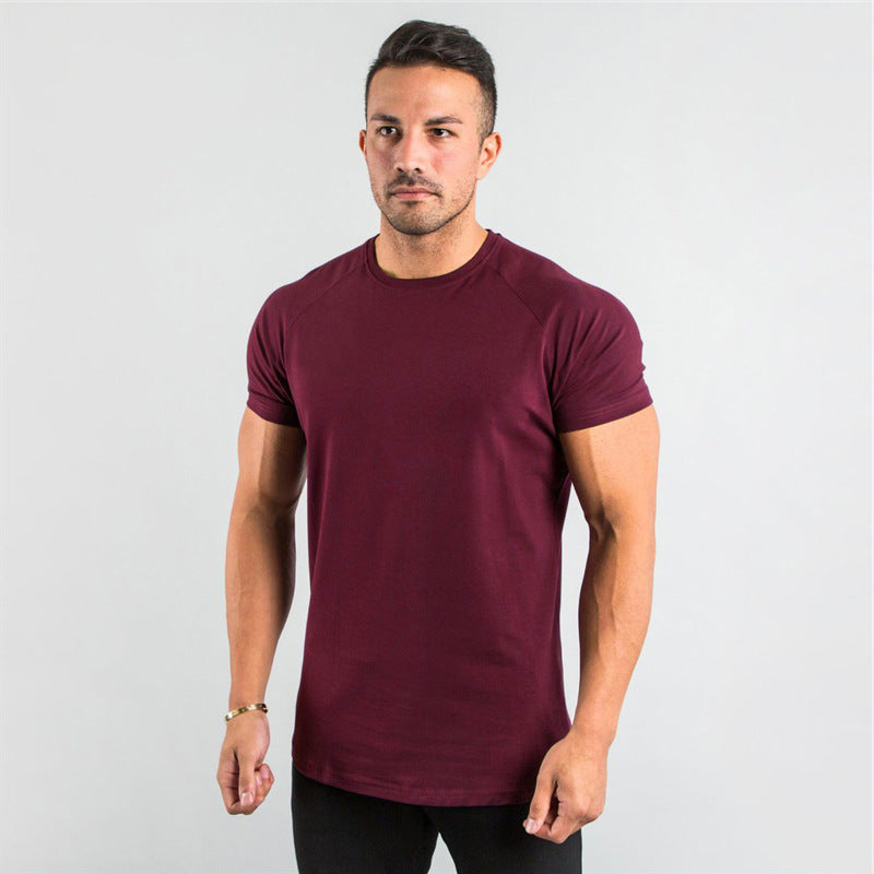 95%cotton 5% elastane custom private logo fitness gym wear sports apparel plain blank men T Shirt